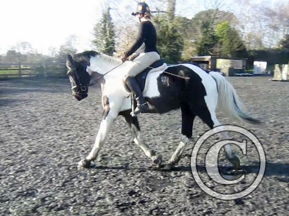 Anna lesson on JD (8)