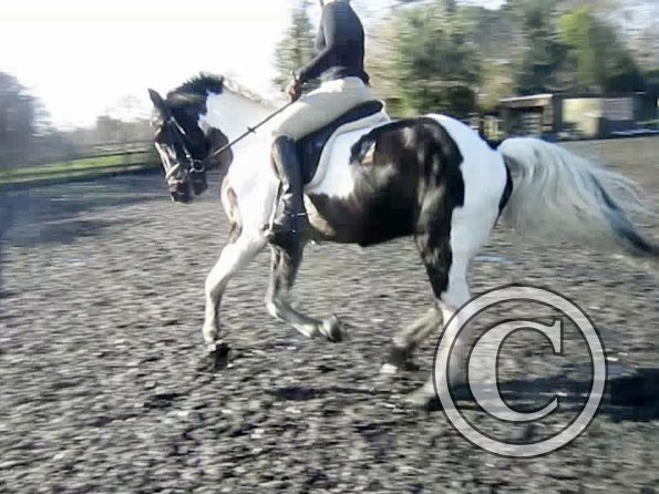 Anna lesson on JD (9)