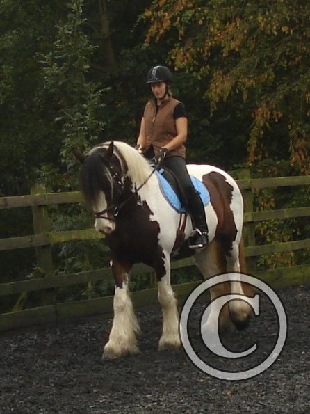 Shortening the stride 2