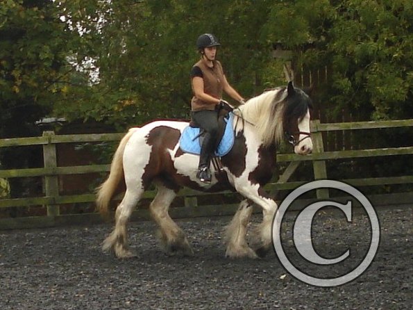 Shortening the stride