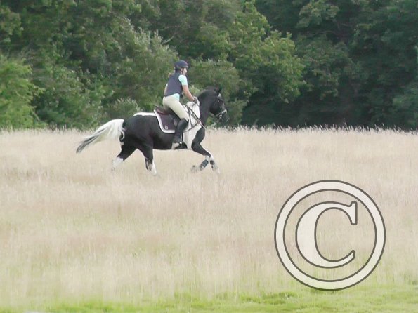 Anna and JD XC (18)