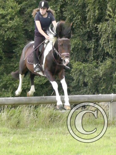 Daisy and Mia XC (10)