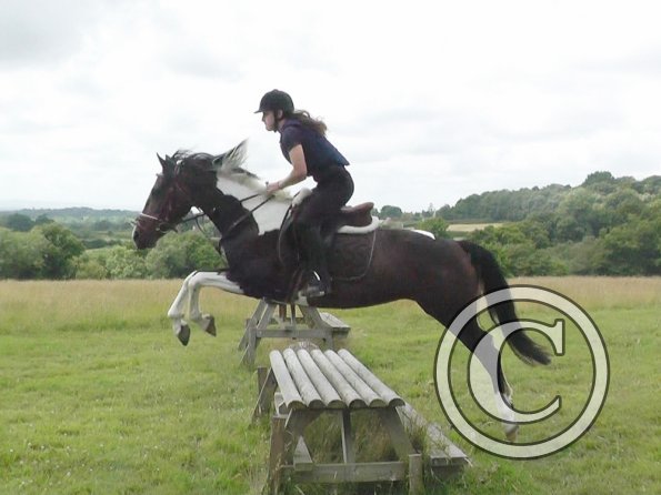 Daisy and Mia XC (11)