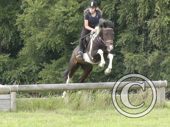 Daisy and Mia XC (12)