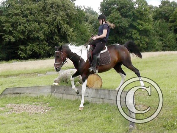 Daisy and Mia XC (13)