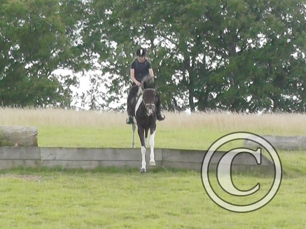 Daisy and Mia XC (14)