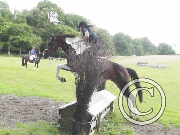 Daisy and Mia XC (16)