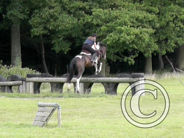 Daisy and Mia XC (17)