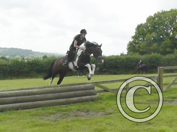 Daisy and Mia XC (2)