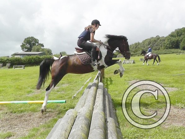 Daisy and Mia XC (3)