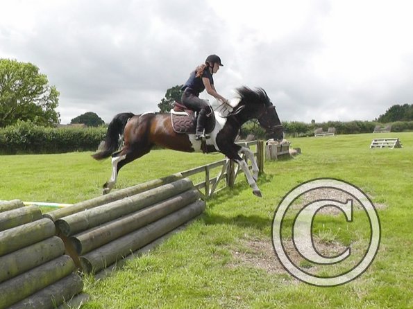 Daisy and Mia XC (4)