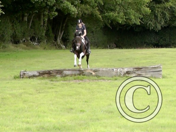 Daisy and Mia XC (5)