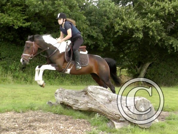 Daisy and Mia XC (6)