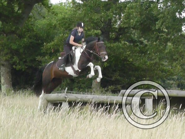 Daisy and Mia XC (7)