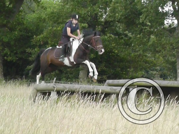 Daisy and Mia XC (8)