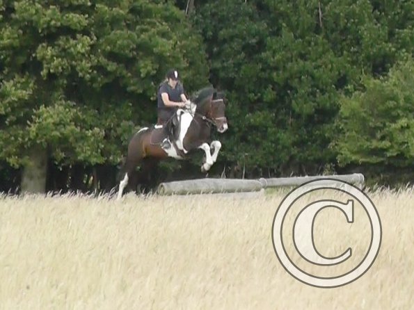 Daisy and Mia XC (9)