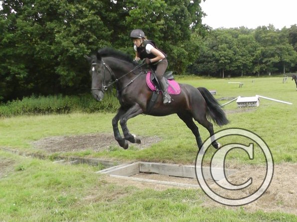 Polly and Sailor XC (10)