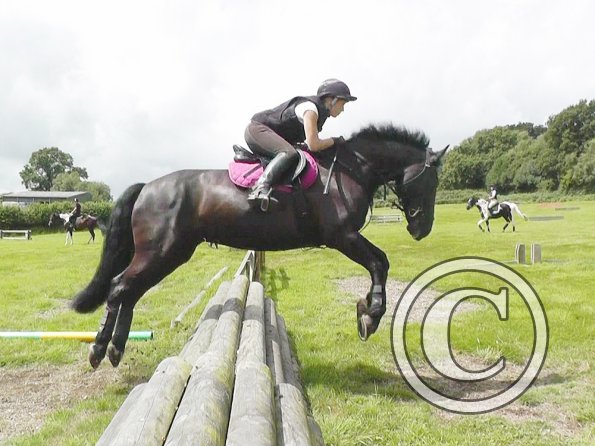 Polly and Sailor XC (2)