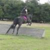 Polly and Sailor XC (3)