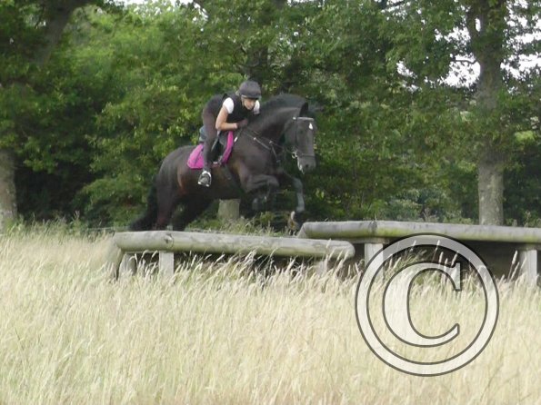 Polly and Sailor XC (4)