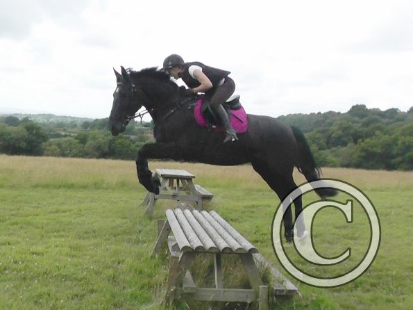 Polly and Sailor XC (5)