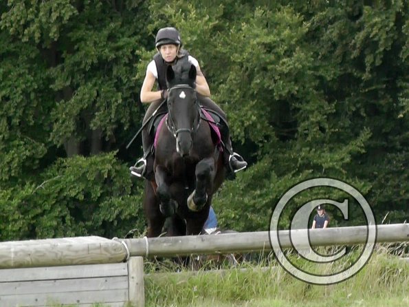 Polly and Sailor XC (6)