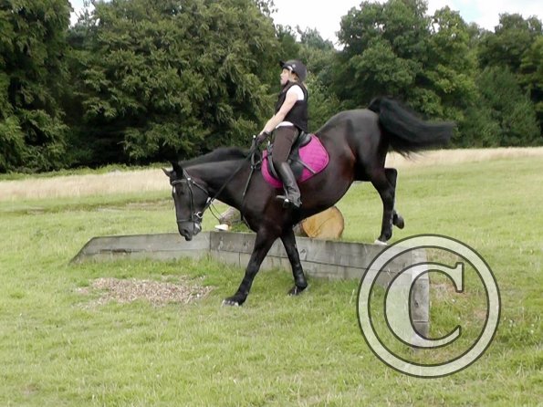 Polly and Sailor XC (7)