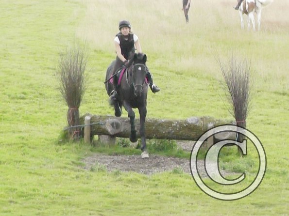 Polly and Sailor XC (8)