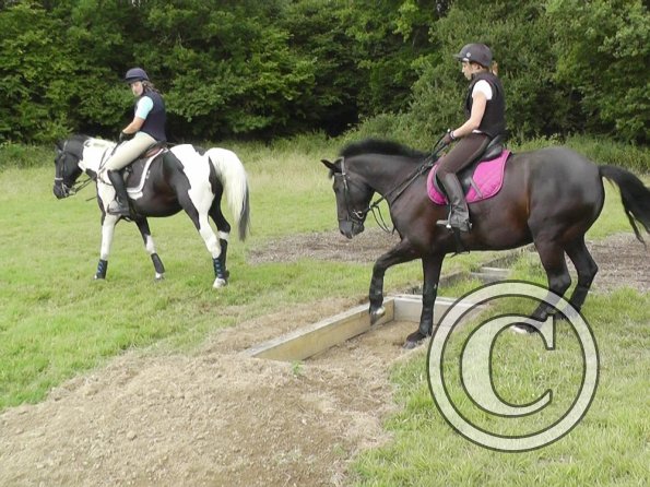 Polly and Sailor XC (9)