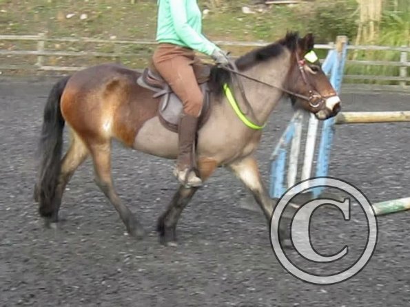 15 Feb lesson Anna and Julia (10)