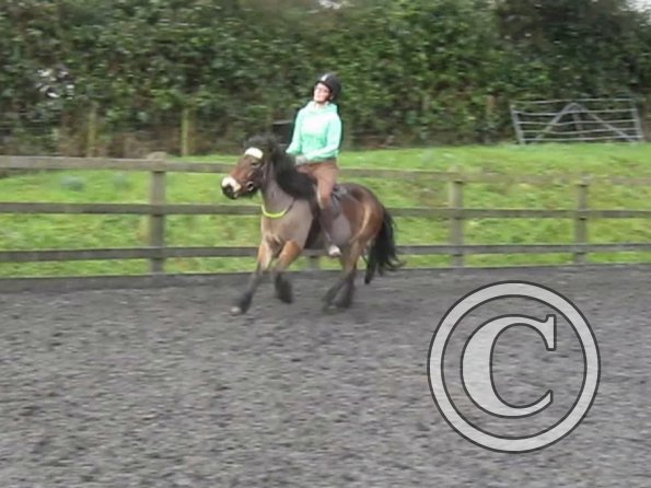 15 Feb lesson Anna and Julia (11)