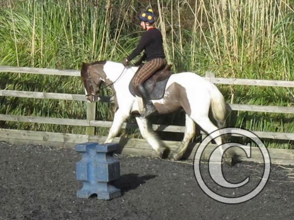 15 Feb lesson Anna and Julia (12)