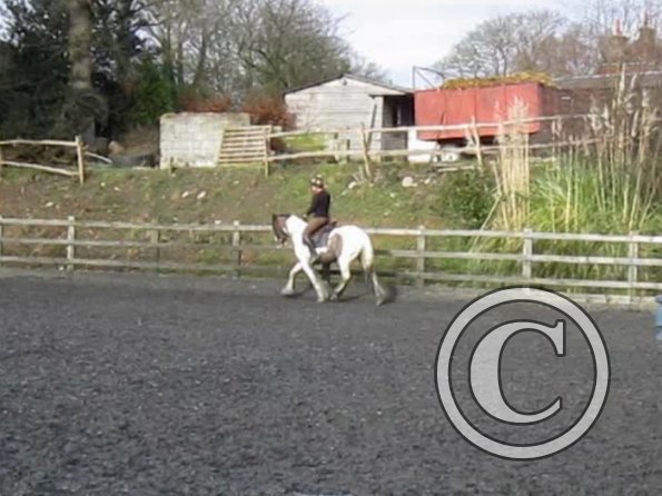 15 Feb lesson Anna and Julia (2)