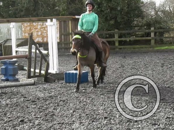 15 Feb lesson Anna and Julia (6)