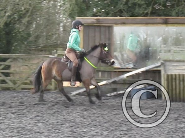 15 Feb lesson Anna and Julia (7)