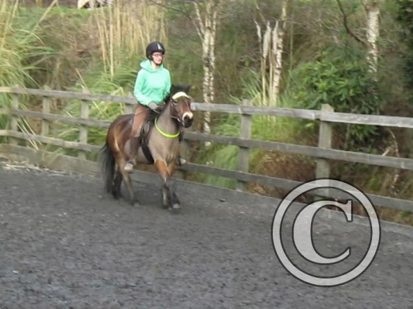 15 Feb lesson Anna and Julia (8)