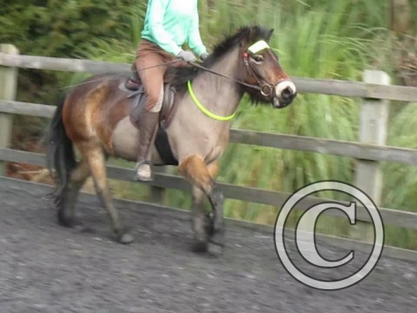 15 Feb lesson Anna and Julia (9)