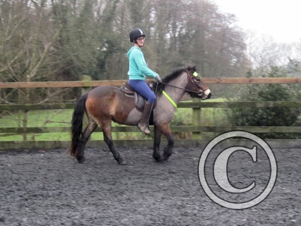 Appley and Julia (11)