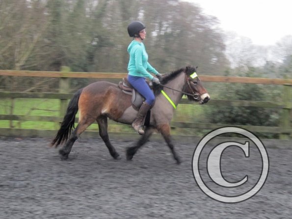 Appley and Julia (13)