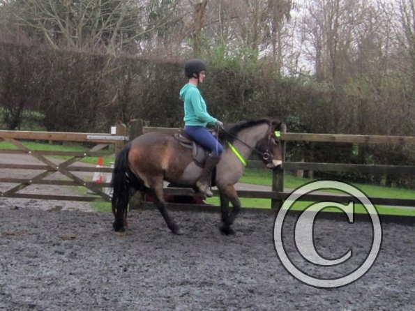 Appley and Julia (3)