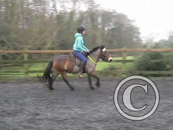 Appley and Julia (4)