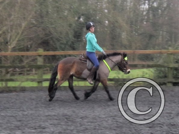 Appley and Julia (5)