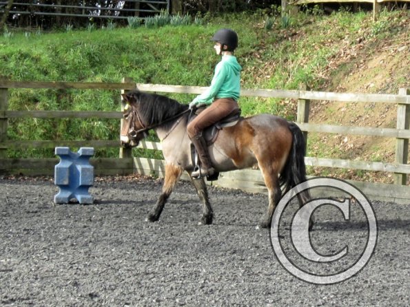 Julia Appley 15 Feb (2)