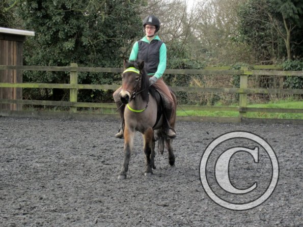 Julia Appley 15 Feb (3)