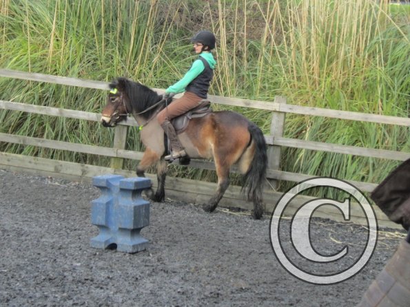 Julia Appley 15 Feb (4)