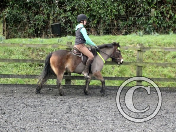 Julia Appley 15 Feb (5)