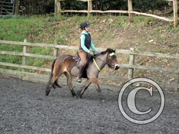 Julia Appley 15 Feb (6)