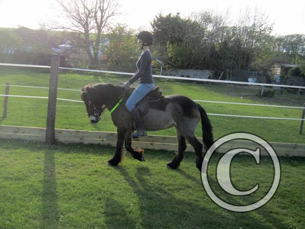 Julia Micklem lesson (12)