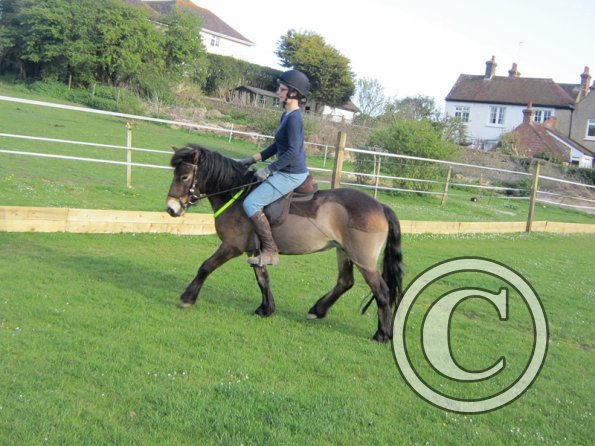 Julia Micklem lesson (15)