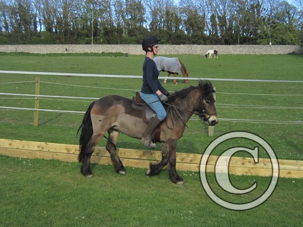 Julia Micklem lesson (16)